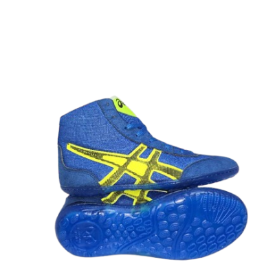 کفش کشتی آسیکس